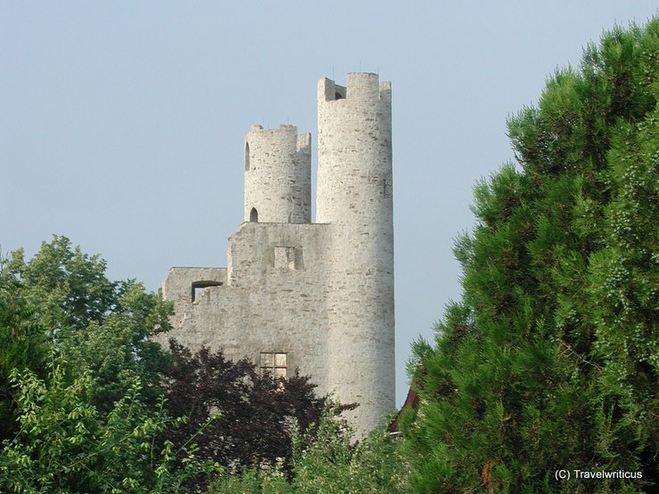 Hoher Schwarm in Saalfeld, Deutschland