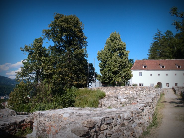 Schlösser und Burgen im Bezirk Leoben